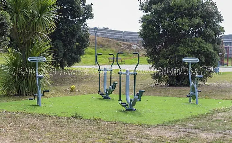 qy球友会体育官网下载