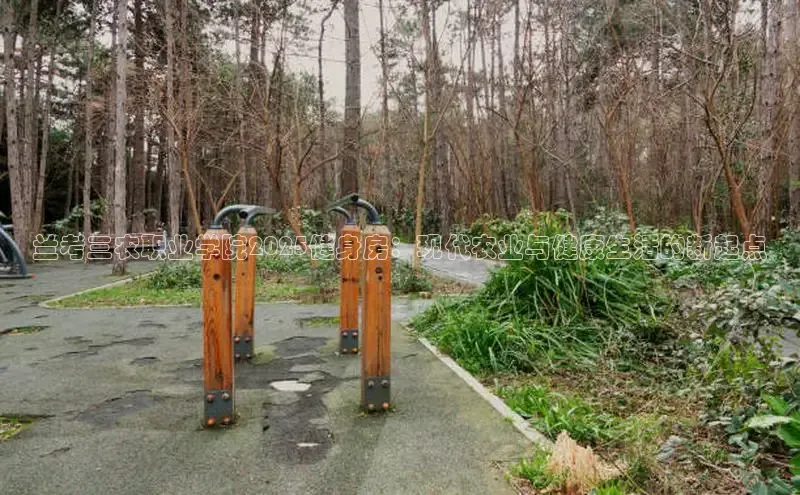 QY千亿球友会app