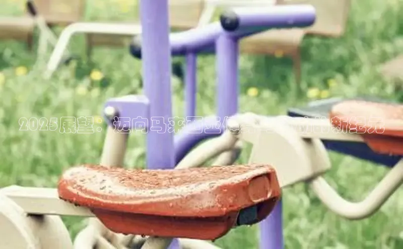 QY球友会体育网址
